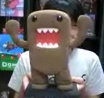 The Original Domo