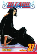 Bleach (Vol. 37)