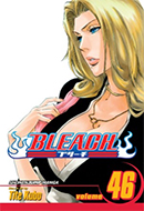 Bleach (Vol. 46)