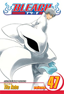 Bleach (Vol. 47)