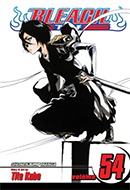 Bleach (Vol. 54)