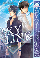 Sky Link