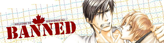 RightStuf Warns of BL Book Seizing at Canada Customs